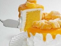 【This is CHIFFON CAKE.】“凍ったまま食べる”シフォンケーキが発売♡