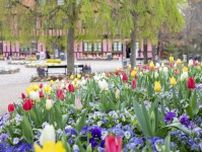 アンデルセン童話の世界感や季節の花が迎えてくれる♪ 千葉「ふなばしアンデルセン公園」へ