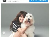 工藤静香、愛犬との最後の日々を振り返る「家族の為に生きていてくれている」