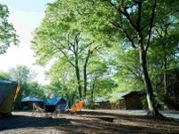 栃木に“森の中のアウトドア複合施設”オープン！　キャンプ場、サウナ、カフェなどを展開