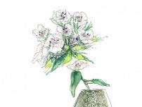 【4月29日の花】ビジョナデシコ  キャサリン妃のブーケに選ばれた花