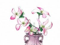 【5月12日の花】ハナミズキ  この時期に出回る枝物を桜色の花器に