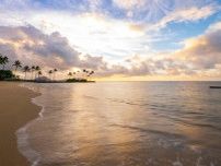 宿泊することが未来のハワイに繋がる  今年で創業60周年を迎えた「カハラ」  でサステナブルを感じる豊かな滞在を