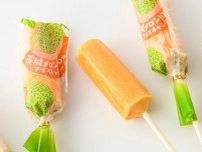 【茨城県】暑い夏に食べたい  ひんやりあま〜いアイス3選  贅沢な果汁感あふれるメロンバー