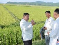 目標の３分の１以下…今年も厳しい北朝鮮の農業