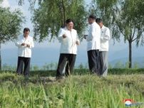 北朝鮮、農民のインセンティブ制度を拡充も成功するか未知数