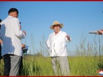 収穫予定のトウモロコシの１６％が消えてなくなる北朝鮮農業の謎