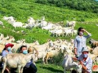 牧場のヤギの４割が病死する北朝鮮牧畜業の深刻な現状