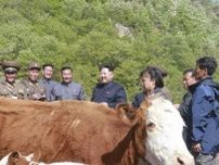 子羊がバタバタ死んでいく、金正恩の「北朝鮮スイス化計画」