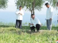 「国のせいで作物が壊滅」北朝鮮”お役人農業”のポンコツ度