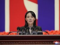 金与正の恫喝も無視する北朝鮮国民の「生活の知恵」