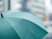 変わる日本の「傘」事情　“平均で4.2本を所有”が減る？意外な立役者とは