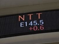暴落中「NTT株」は買い時？ 「エヌビディア株」はもう手遅れ？　投資初心者が知っておくべき「下落への対処法」「新NISAの落とし穴」