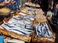 想像以上に深刻な魚離れ……千葉・外房で実験進む「鮮魚DX」がスーパーの魚売場を変える！？