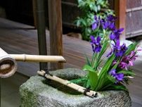 お寺と神社は違う？ 1分で学ぶ、外国人に必ず聞かれる日本のルール