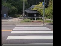 「これは酷い」「全部違反」　“渡れない横断歩道”動画が物議、ドライバーへの批判続出
