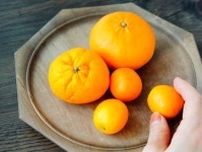 春は柑橘類の宝庫！早めの紫外線対策・日焼け予防に嬉しい栄養と、賢い食べ方