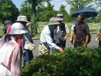 国営昭和記念公園　自然観察ツアー（6月）