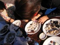 貝採集と標本づくり