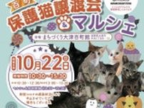 百町保護猫譲渡会＆マルシェ（10月）