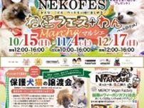 ねこフェス＋わんマルシェ　保護犬猫譲渡会（10月）