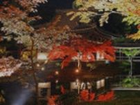 高台寺　秋の特別展・秋の夜間特別拝観