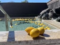 富士眺望の湯ゆらり　毎月26日はお風呂の日！9月の変わり湯は夏にピッタリ清涼感漂う「レモンの湯」