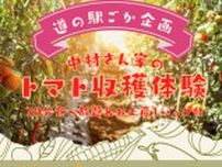 道の駅ごか 中村さん家のミニトマト収穫体験