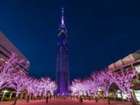 福岡タワー35周年感謝祭「桜まつり」