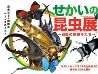 せかいの昆虫展 〜 図鑑の探検者たち 〜