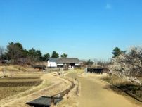 国営昭和記念公園　こもれびの里　里の春まつり