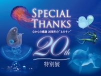 新江ノ島水族館20周年特別展
