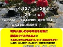 古代蓮の里　四季の花キャンペーン「牡丹」