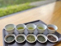 「星のお茶塾」第1回お茶の種類や違いを知る