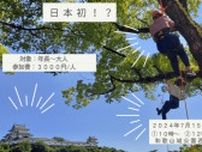 お城でツリーイング体験!! 和歌山城で木登りにチャレンジ!!