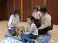 広島県動物愛護センター 親子 DE 動物ふれあい教室（7月）