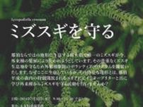 栃木県唯一の生息地「ミズスギを守る」