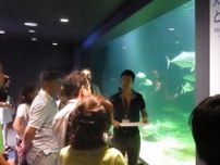 京都大学白浜水族館　研究者と飼育係のこだわり解説ツアー