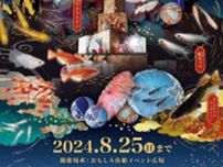 豪華絢爛メダカ展