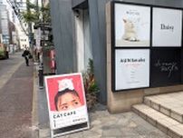 福岡・癒やしスポット【のんびり日和】猫カフェ MOCHA 天神大名店