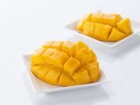 【宮崎県福岡事務所】Instagramアカウント開設記念！　宮崎県産完熟マンゴーを抽選でプレゼント