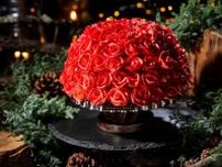 帝国ホテル 東京のクリスマス2023、“赤いバラが咲く”ショートケーキやトリュフケーキなど