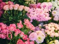 青山フラワーマーケット 南青山本店「バラ＆ガーベラ」が主役の花祭、“ローズ香る”ディフューザーも