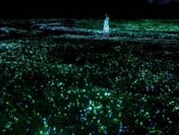 「チームラボ ボタニカルガーデン 大阪」ネモフィラの花が輝く展示、夜の植物園で光＆音が伝播