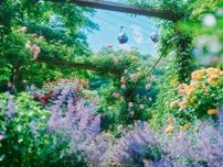 「神戸布引ハーブ園」チューリップやネモフィラが咲き誇る春イベント、異国情緒漂う屋外マルシェ＆夜景も
