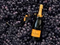 ステラ マッカートニー×ヴーヴ・クリコ、“シャンパンのブドウ”由来ヴィーガンレザーバッグやサンダル