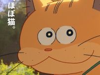 アニメ映画『化け猫あんずちゃん』森⼭未來が“人間の言葉を話す”37歳の化け猫役、実写映像からアニメ化