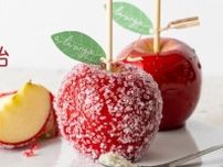 青森りんご専門店「あら、りんご。」“甘じょっぱい！？”塩りんご飴、サンふじ1玉に天然塩＆ザラメ付き