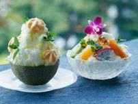 ホテル雅叙園東京“大人のかき氷”「リッチシェイブアイス」メロン半玉にふんわりミルクアイス