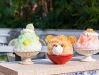 「くまのかき氷」黒糖×練乳や贅沢メロンなどの“ふわふわ”かき氷、東京・芝公園テラスダイニングタンゴで